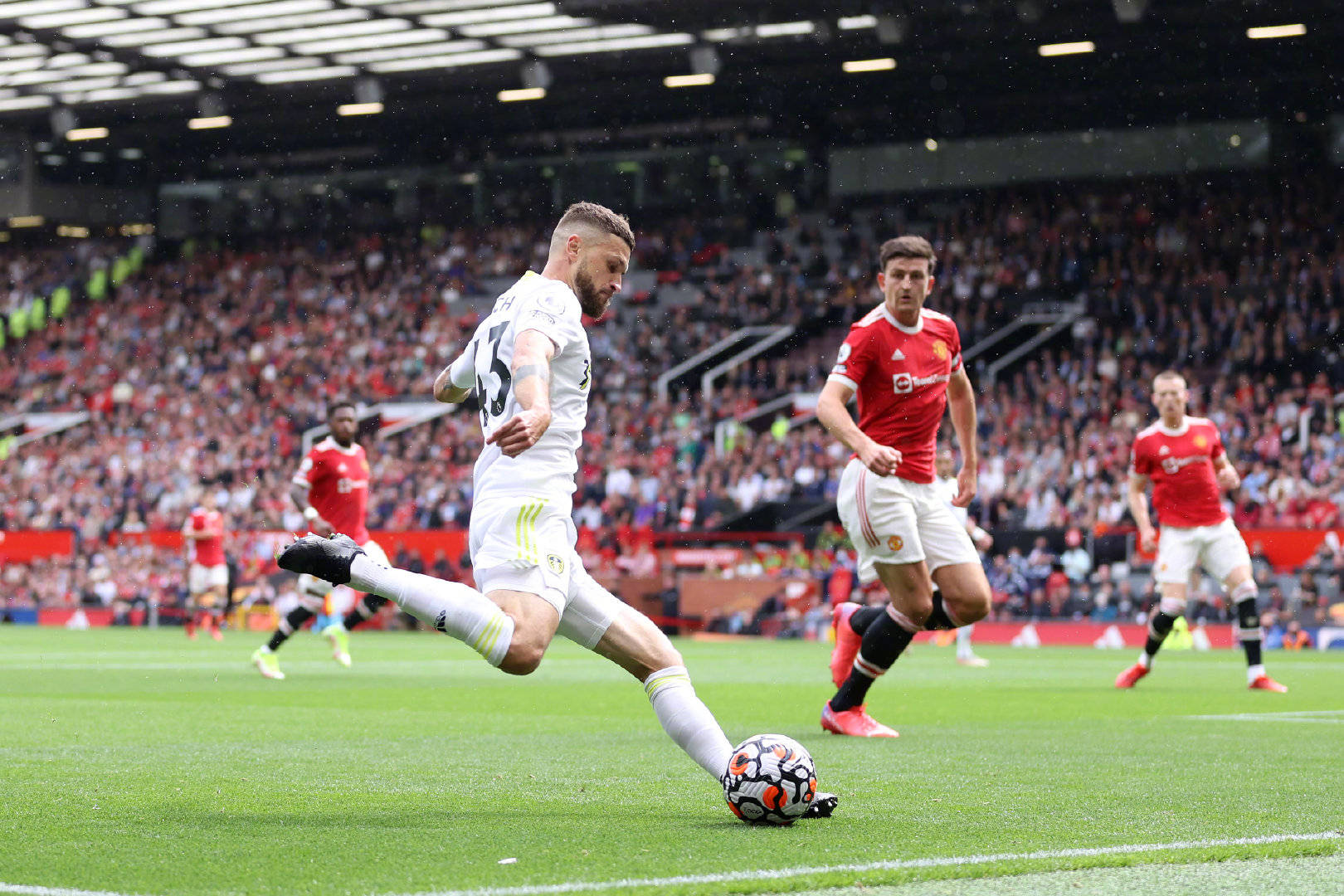 并非故意 并非故意