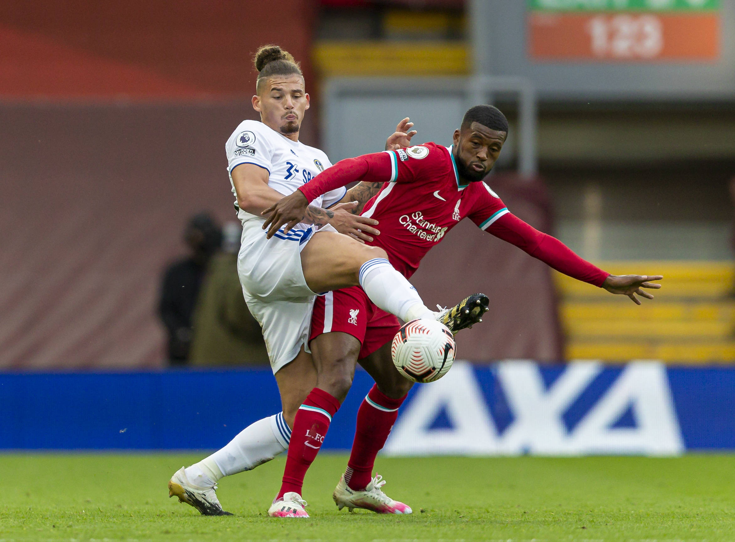 这一态度的 这一态度的